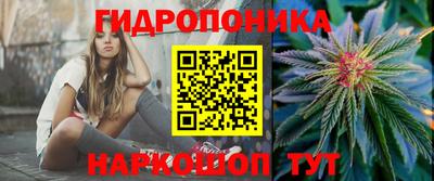 трава Тара