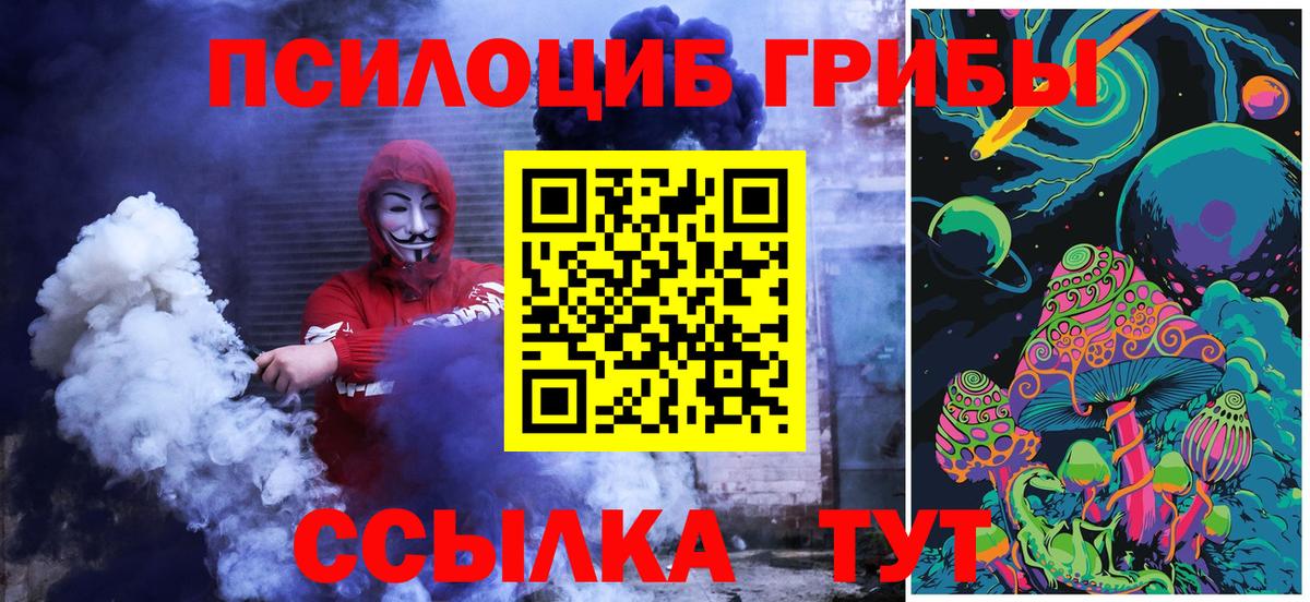Галлюциногенные грибы Cubensis Михайловка